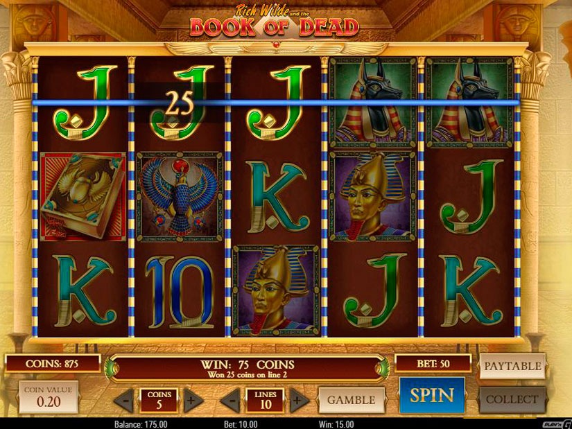 Book of Dead slot screenshot